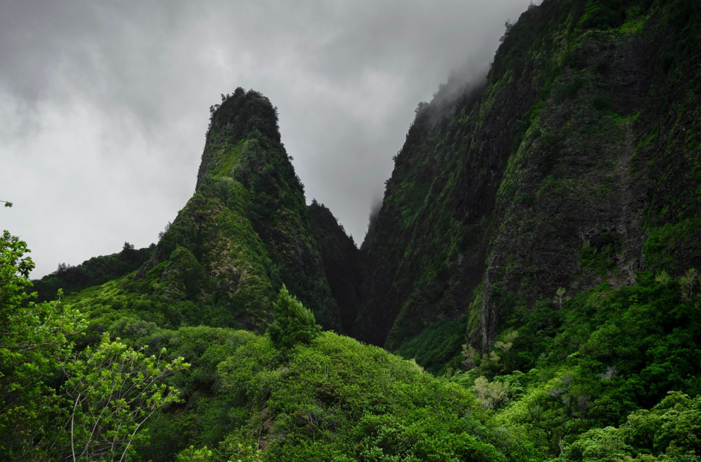 Iao Valley State Park